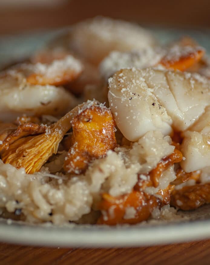 Risotto de Noël, girolles noix de saint jacques bouillon porc noir de Bigorre