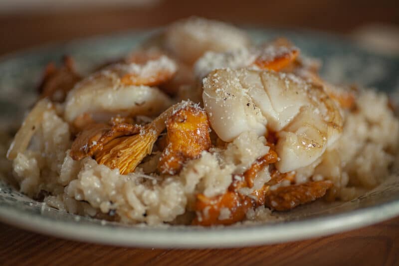 Risotto de Noël, girolles noix de saint jacques bouillon porc noir de Bigorre