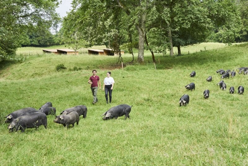 Domaine Herbae porc noir de Bigorre AOP Anouk et Nicolas