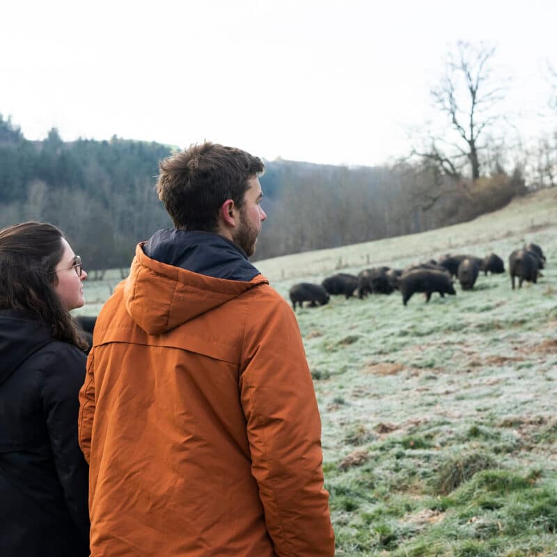 Eleveurs de porcs noirs de Bigorre AOP - Herbae cochons millésimes