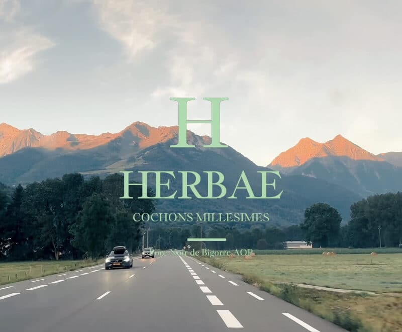 Quotidien chez Herbae
