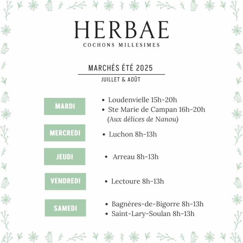 Programme été 2025 HERBAE